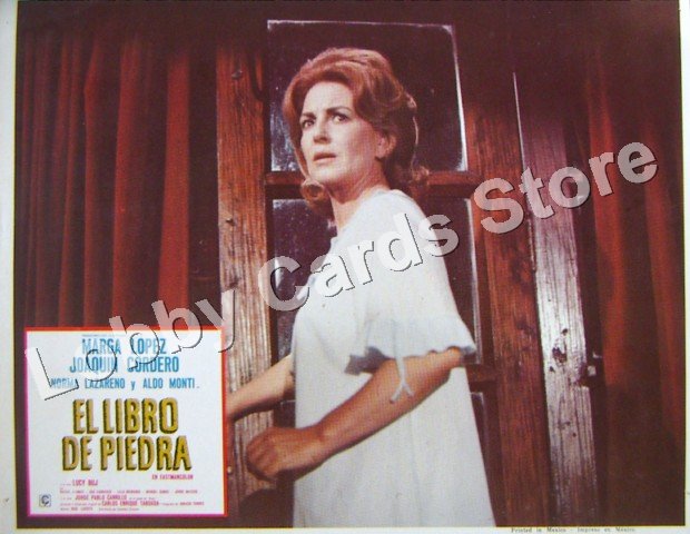 MARGA LOPEZ/EL LIBRO DE PIEDRA